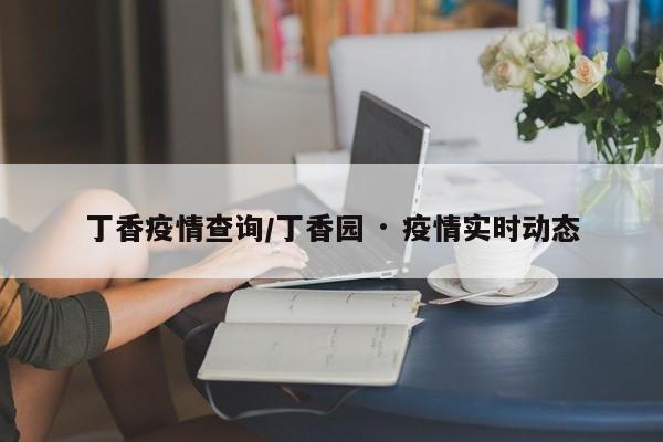 丁香疫情查询/丁香园 · 疫情实时动态